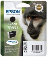 Epson C13T089140 black - originální